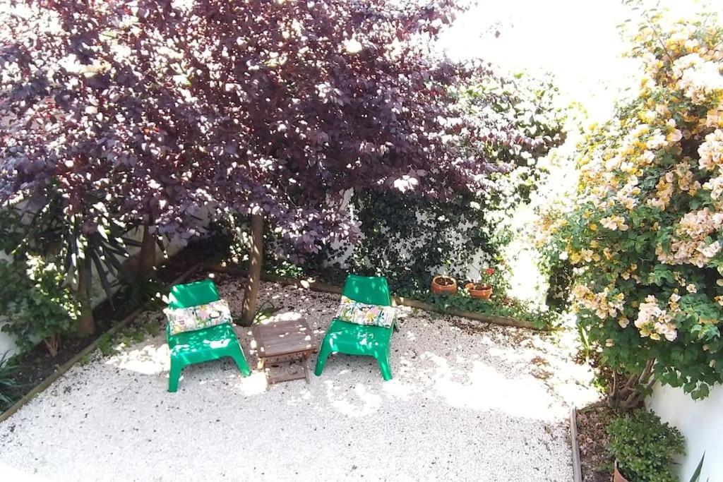 Apartamento With Private Garden - Location